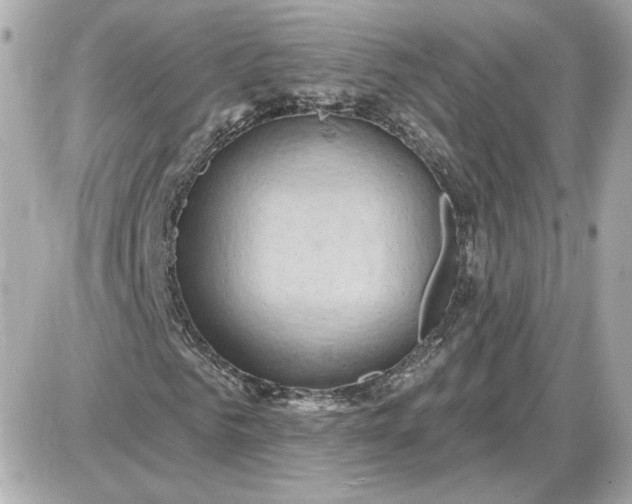 X0000087550961200705112117