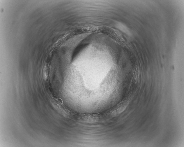 X0000087550962200705112117