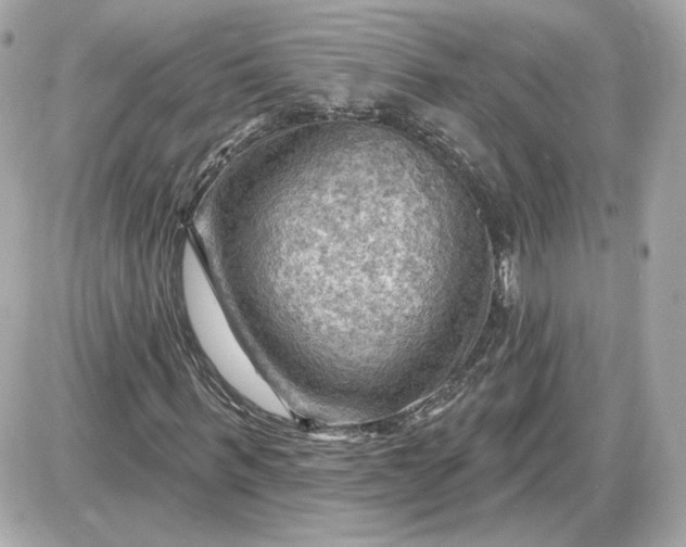 X0000087550963200705112117