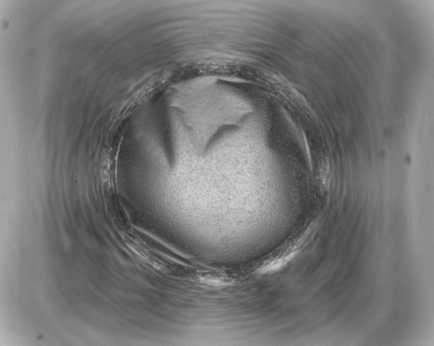 X0000087550964200705112117