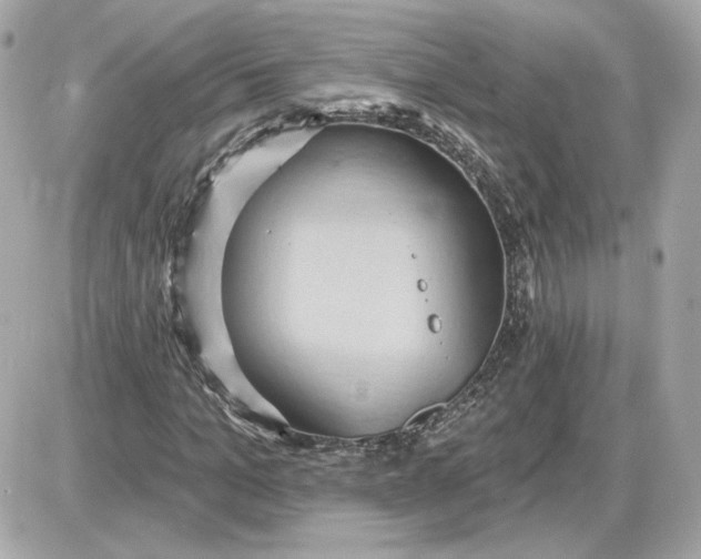 X0000087550965200705112117