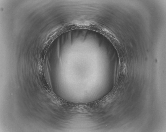 X0000087550966200705112117