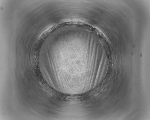 X0000087550967200705112117