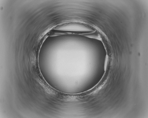 X0000087550969200705112117