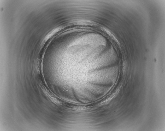 X0000087550970200705112117