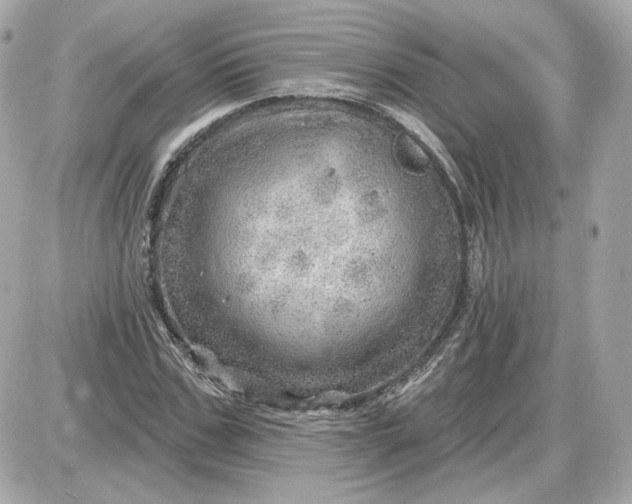 X0000087550971200705112117