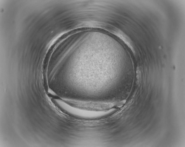 X0000087550972200705112117