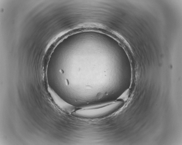 X0000087550973200705112117