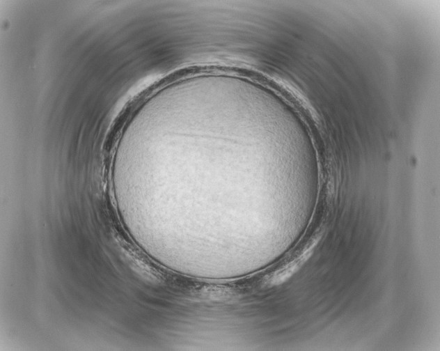 X0000087550974200705112117