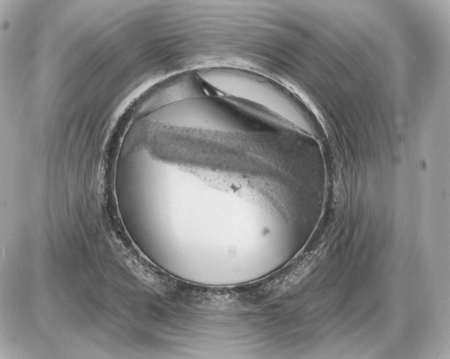 X0000087550975200705112117