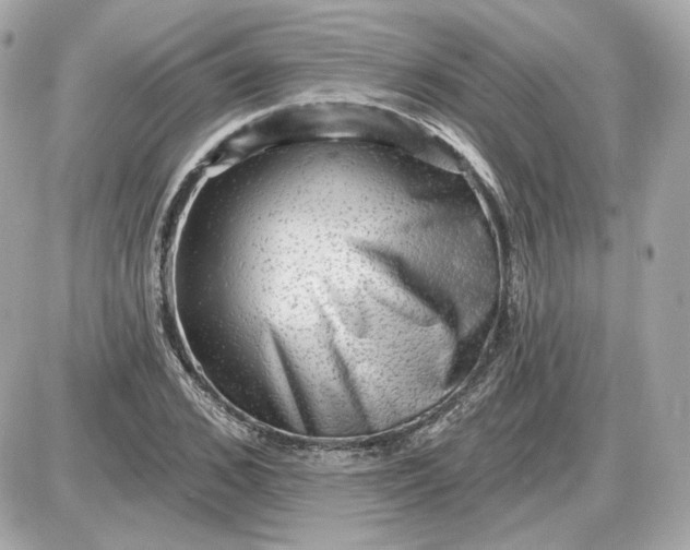 X0000087550976200705112117