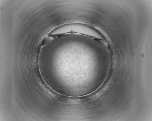 X0000087550977200705112117