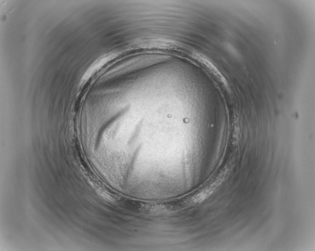 X0000087550978200705112117