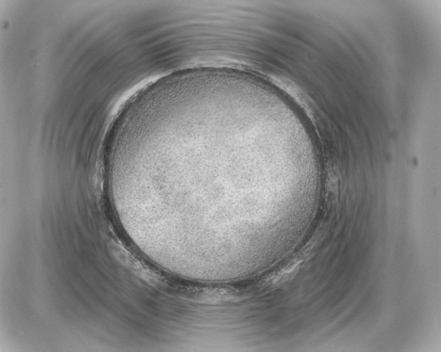 X0000087550979200705112117