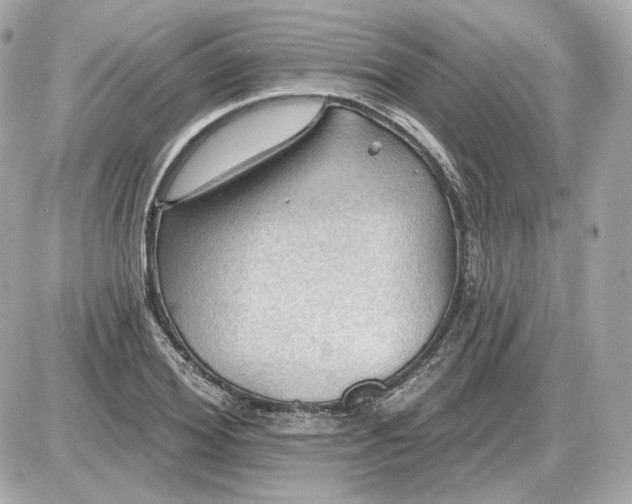 X0000087550980200705112117