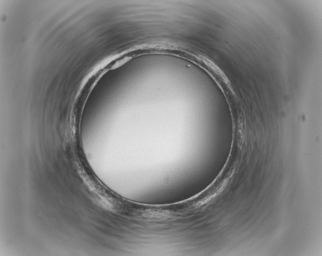 X0000087550981200705112117