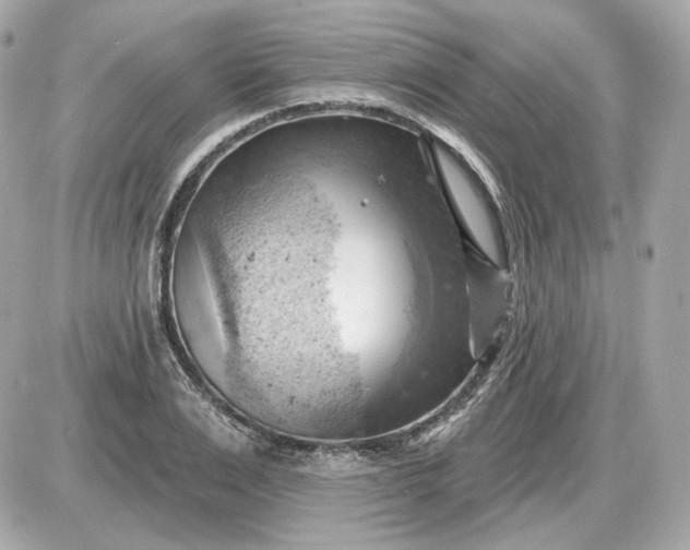 X0000087550983200705112117