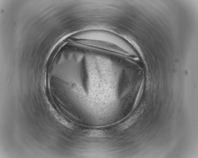 X0000087550984200705112117