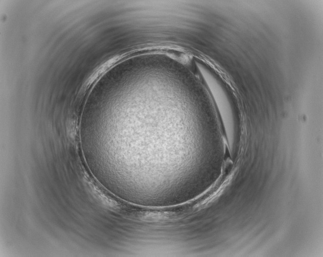 X0000087550985200705112117