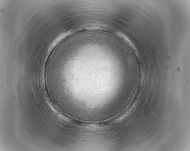 X0000087550986200705112117