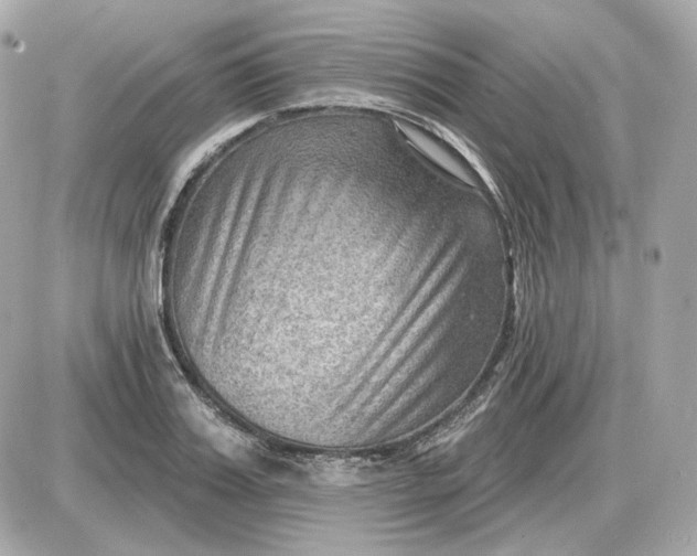 X0000087550987200705112117