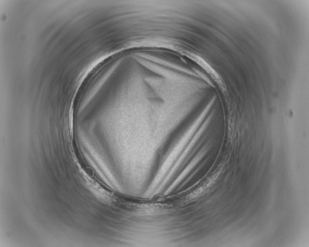 X0000087550988200705112117