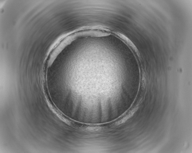 X0000087550989200705112117