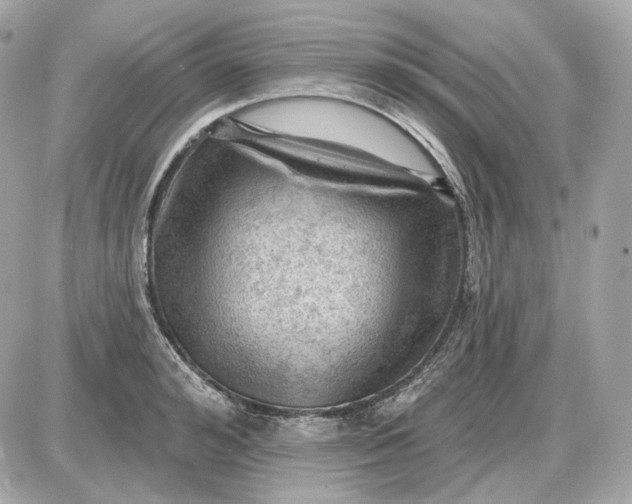 X0000087550992200705112117