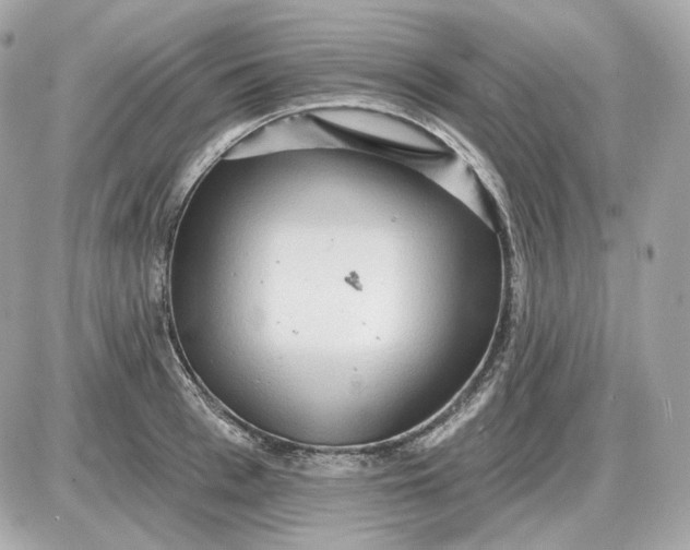 X0000087550993200705112117