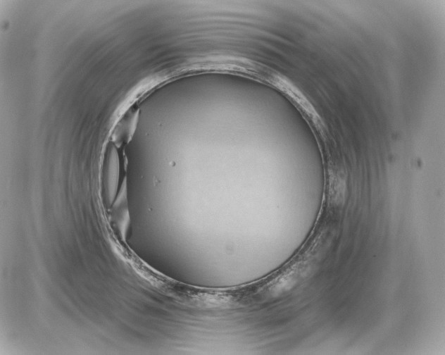 X0000087550994200705112117