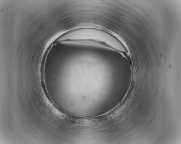 X0000087550995200705112117