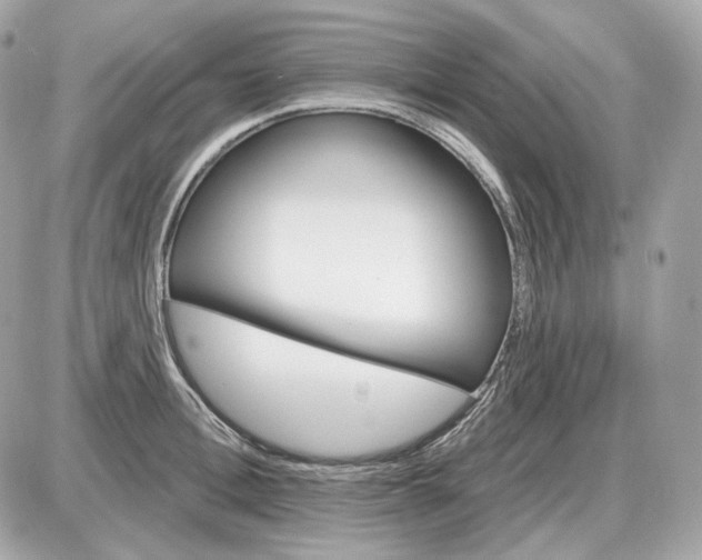 X0000087550996200705112117