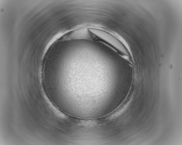 X0000087550997200705112117