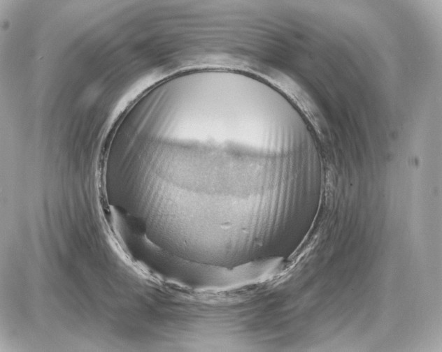 X0000087550998200705112117