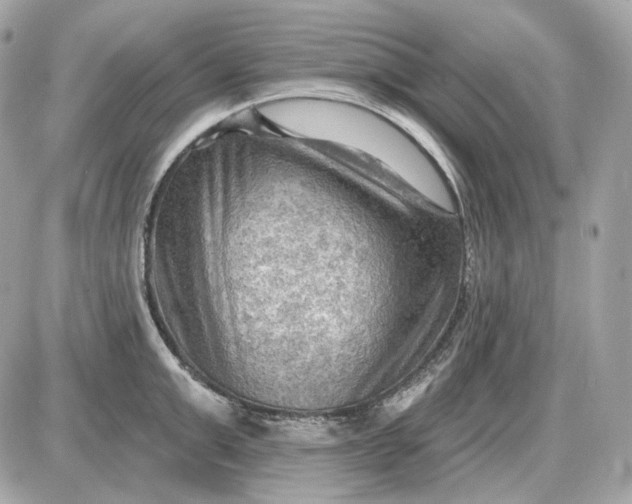 X0000087550999200705112117