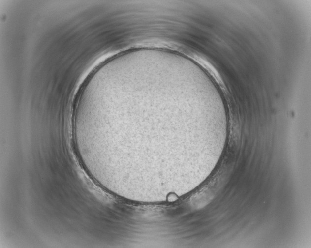 X0000087551000200705112117