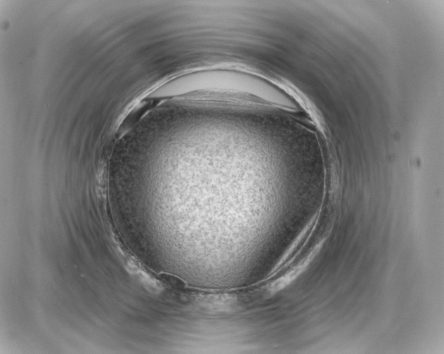 X0000087551001200705112117