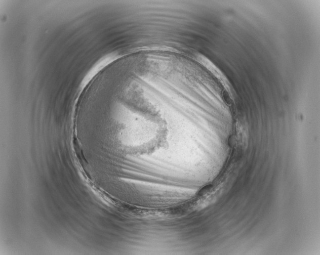 X0000087551002200705112117