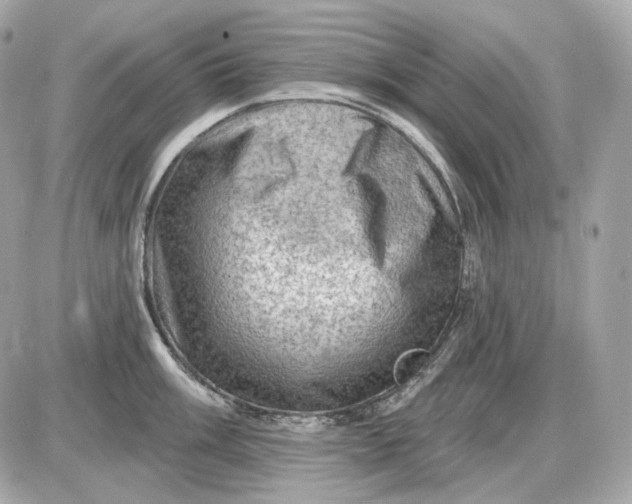 X0000087551003200705112117