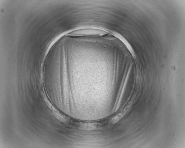 X0000087551004200705112117