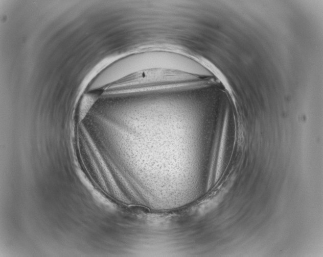 X0000087551005200705112117