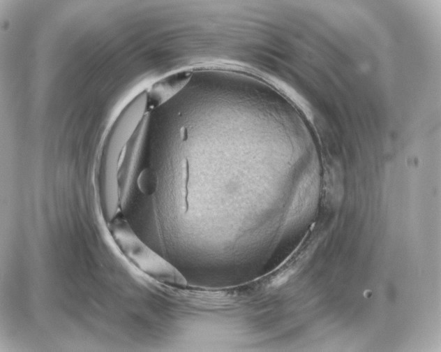 X0000087551007200705112117