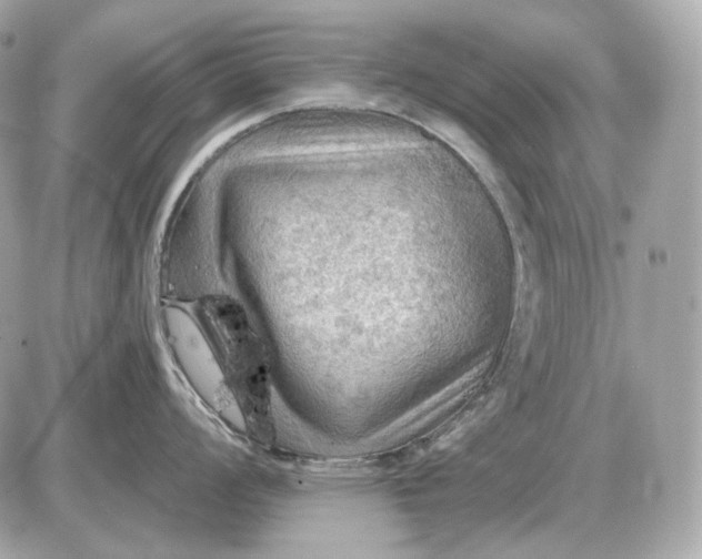 X0000087551008200705112117