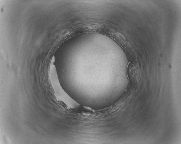 X0000087551009200705112116