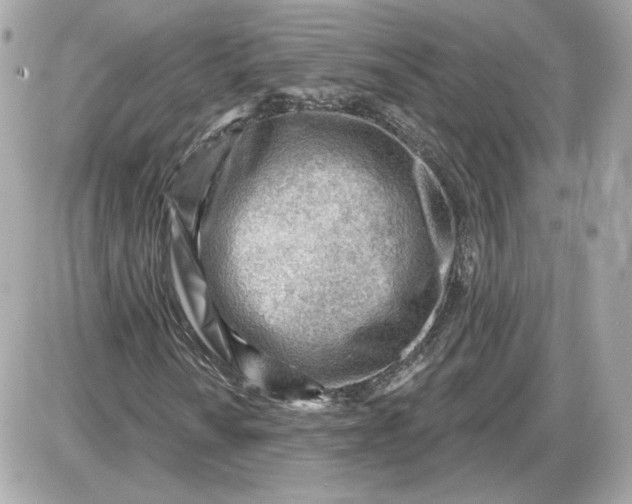 X0000087551010200705112116