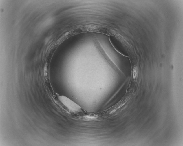 X0000087551011200705112116