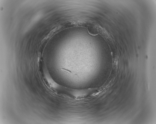 X0000087551012200705112116