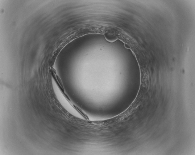 X0000087551013200705112116