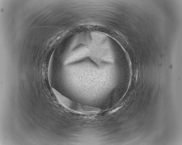 X0000087551014200705112116