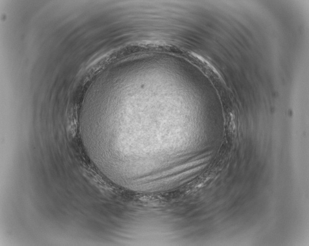 X0000087551015200705112116